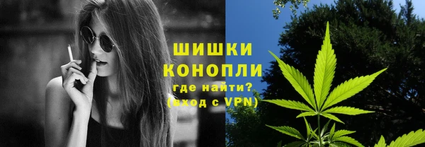 стафф Осинники
