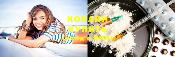 стафф Осинники