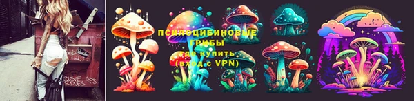 стафф Осинники