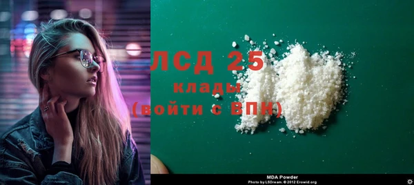 ПСИЛОЦИБИНОВЫЕ ГРИБЫ Осташков