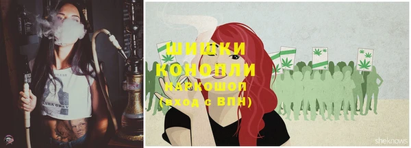 стафф Осинники