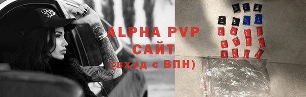 ПСИЛОЦИБИНОВЫЕ ГРИБЫ Осташков