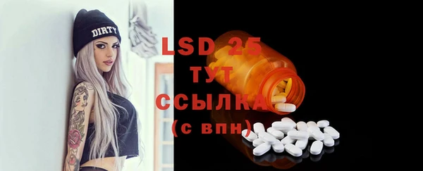 ПСИЛОЦИБИНОВЫЕ ГРИБЫ Осташков