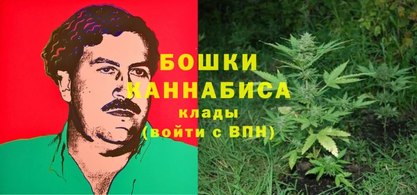 стафф Осинники