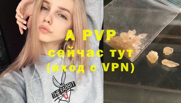 ПСИЛОЦИБИНОВЫЕ ГРИБЫ Осташков