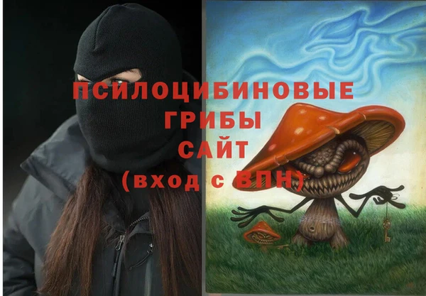 стафф Осинники