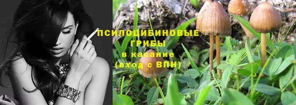 ПСИЛОЦИБИНОВЫЕ ГРИБЫ Осташков
