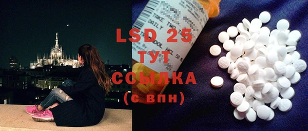 стафф Осинники