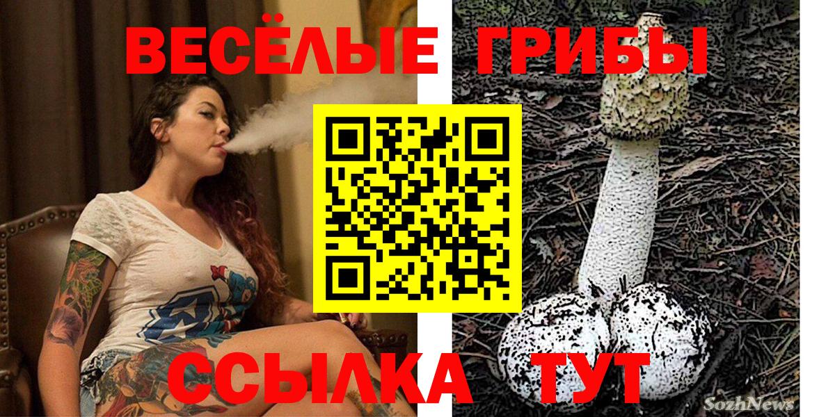 Псилоцибиновые грибы Psilocybe  Вход с VPN  Петрозаводск 