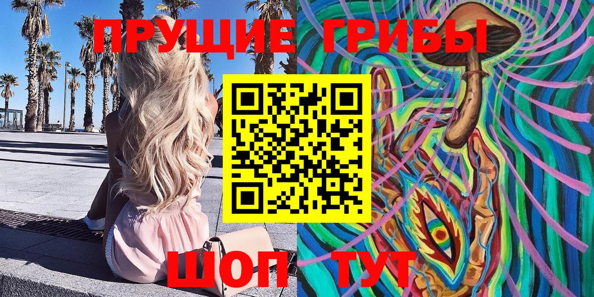 Галлюциногенные грибы Cubensis Петрозаводск