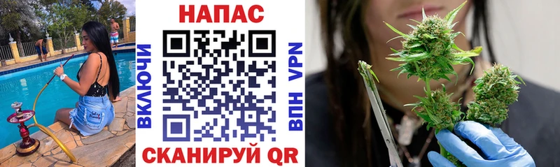 Конопля OG Kush  ОМГ ОМГ ONION  Петрозаводск 